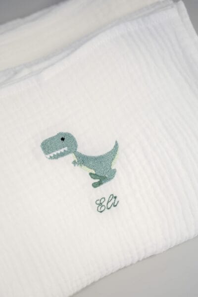 Tetra Blanket 'Dino + NAME'